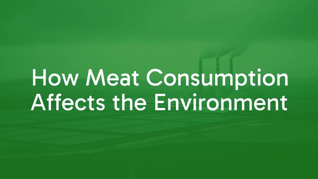 Industrial livestock farm with smokestacks emitting greenhouse gases, barren land with deforestation in the background, moody and realistic environmental impact scene.