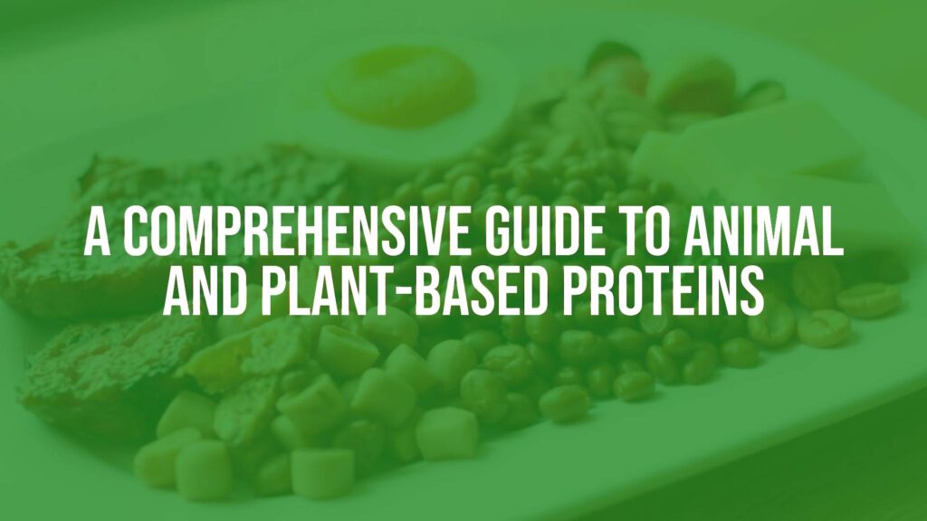 A Comprehensive Guide to Animal and Plant-Based Proteins