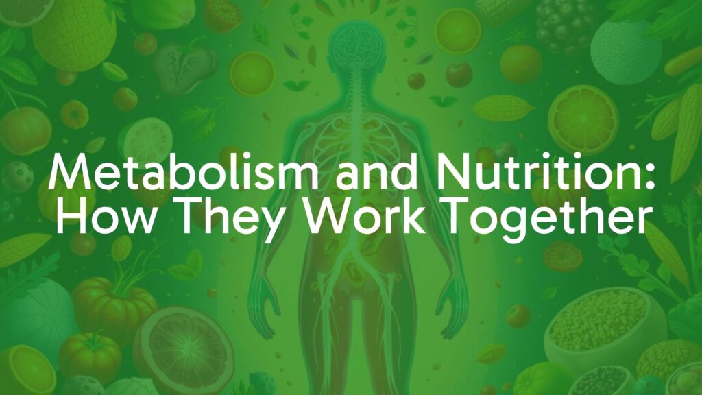 Metabolism and Nutrition: How They Work Together