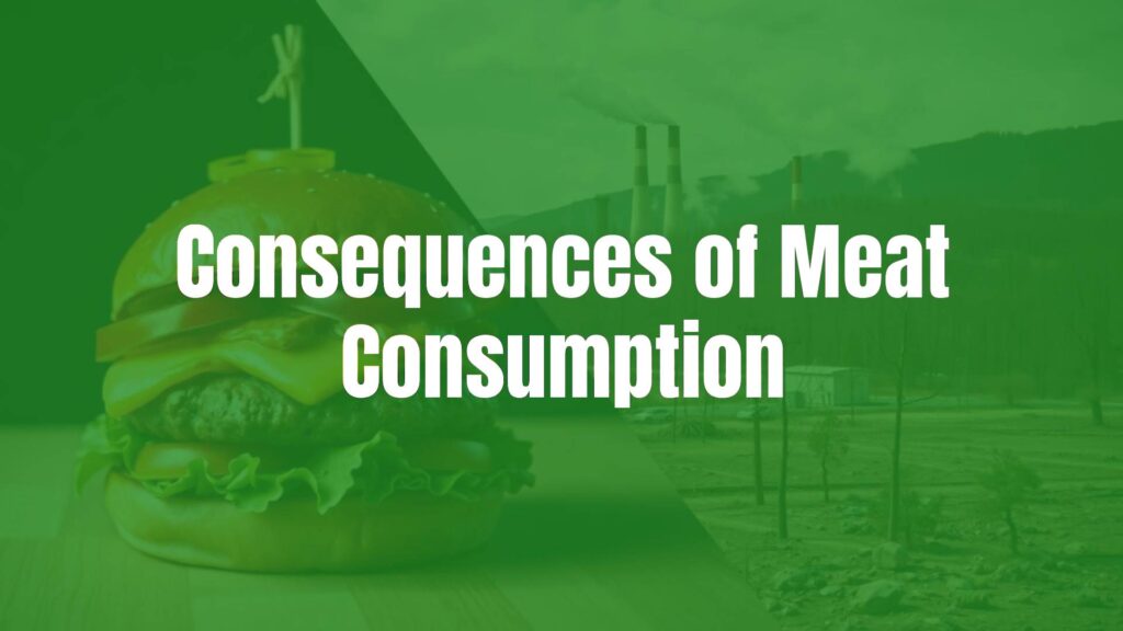 A stark contrast image showing a juicy burger on one side and a deforested landscape with smoke stacks on the other, highlighting the impact of meat consumption, realistic style.