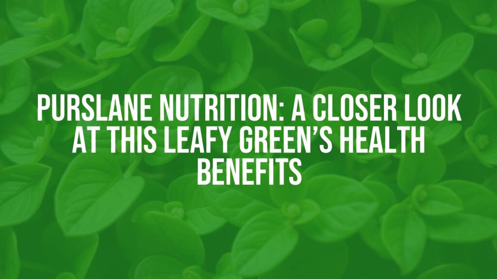Purslane Nutrition: A Closer Look at This Leafy Green’s Health Benefits